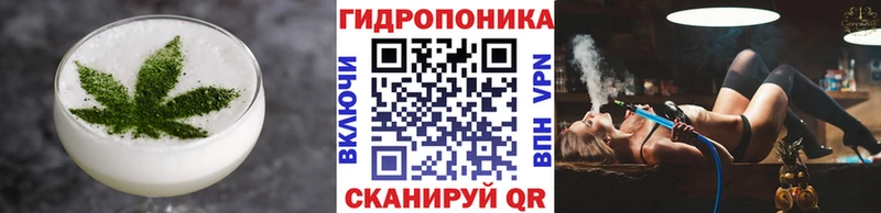 Купить где  Красноармейск  Canna-Cookies конопля 
