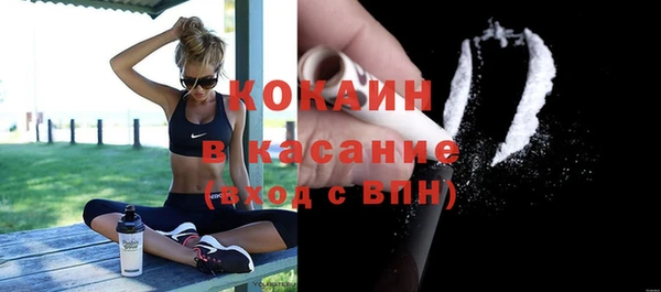 хмурый Алексин