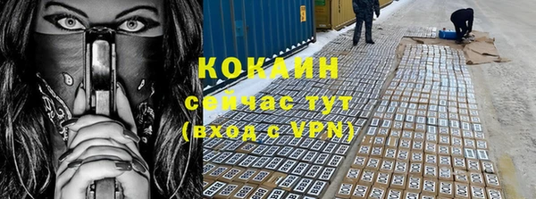 хмурый Алексин