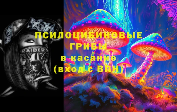 хмурый Алексин