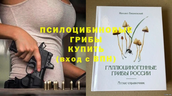 ALPHA-PVP Алексеевка