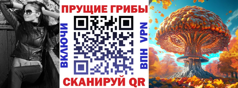 Галлюциногенные грибы MAGIC MUSHROOMS  Купить где  Красноармейск 